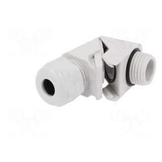 Cable gland | angular