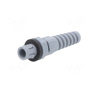 Cable gland | IP68 | polyamide | dark grey | push-in