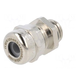 Cable gland | M12 | IP68 | brass | SKINTOP® MSR-M ATEX