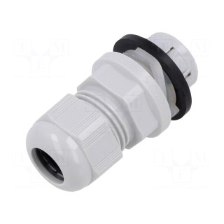 Cable gland | M20 | IP68 | polyamide | light grey | push-in | Entrelec