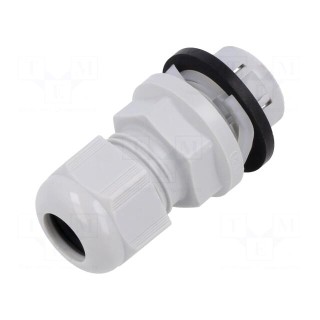 Cable gland | M20 | IP68 | polyamide | light grey | push-in | Entrelec