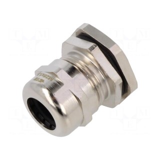 Cable gland | M25 | 1.5 | IP68 | brass | Entrelec