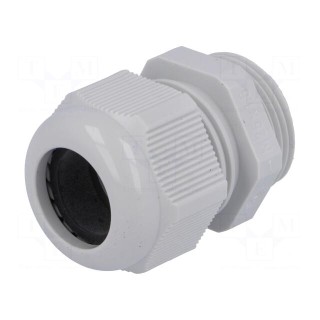 Cable gland | M25 | 1.5 | IP68 | polyamide | grey