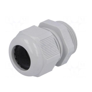 Cable gland | M25 | 1.5 | IP68 | polyamide | grey