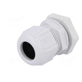 Cable gland | M25 | 1,5 | IP68 | Mat: polyamide | grey