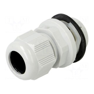 Cable gland | M25 | IP68 | polyamide | light grey | push-in | Entrelec