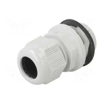 Cable gland | M25 | IP68 | polyamide | light grey | push-in | Entrelec