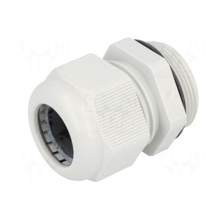 Cable gland | M32 | 1.5 | IP68 | polyamide | grey