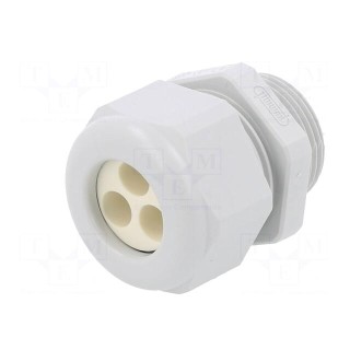Cable gland | multi-hole | M25 | 1.5 | IP65 | polyamide | grey | 7mm