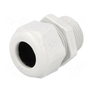 Cable gland | NPT3/4" | IP68 | polyamide | light grey | UL94V-0 | HSK-K