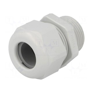 Cable gland | NPT3/4" | IP68 | polyamide | light grey | UL94V-0 | HSK-K