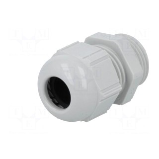 Cable gland | PG11 | IP68 | polyamide | light grey