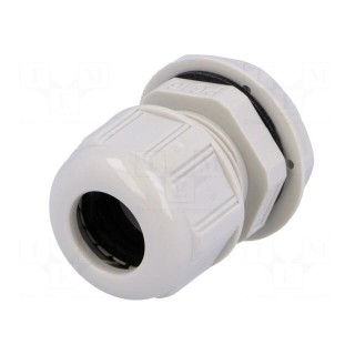 Cable gland | PG16 | IP68 | polyamide | light grey | UL94V-2 | GWconnect