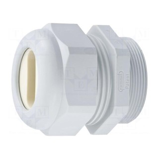 Cable gland | for flat cable | M25 | 1.5 | IP65 | polyamide | grey