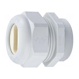 Cable gland | PG29 | IP65 | polyamide | grey | Holes no: 1 | 22x8mm