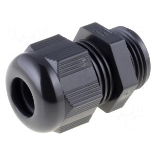 Cable gland | PG21 | IP68 | polyamide | black | HELUTOP HT-PG