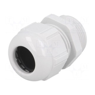 Cable gland | PG21 | IP68 | polyamide | light grey