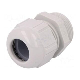 Cable gland | PG21 | IP68 | polyamide | light grey