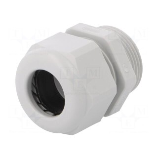 Cable gland | PG21 | IP68 | polyamide | light grey | UL94V-0 | HSK-K