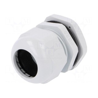 Cable gland | PG29 | IP67 | polyamide | grey