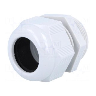 Cable gland | PG29 | IP68 | polyamide | grey | HELUTOP HT-PG