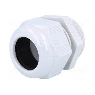 Cable gland | PG29 | IP68 | polyamide | grey | HELUTOP HT-PG