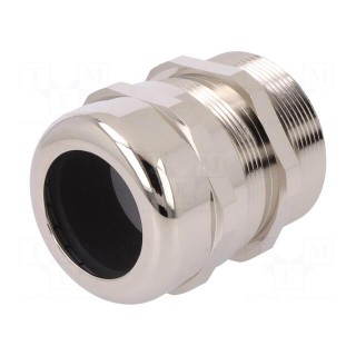 Cable gland | PG36 | IP68 | brass | Body plating: nickel | SKINTOP® MS