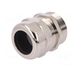 Cable gland | PG36 | IP68 | brass | Body plating: nickel | SKINTOP® MS