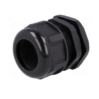 Cable gland | PG36 | IP68 | Mat: polyamide | black | UL94V-2