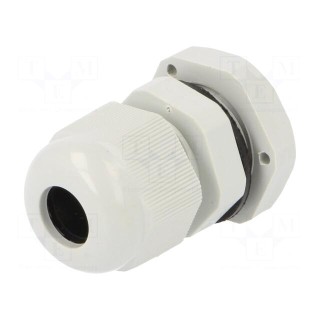Cable gland | PG9 | IP67 | Mat: polyamide | grey | Conform to: DIN 40430