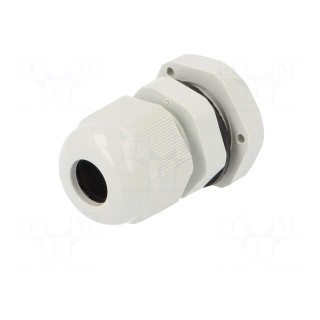Cable gland | PG9 | IP67 | Mat: polyamide | grey | Conform to: DIN 40430
