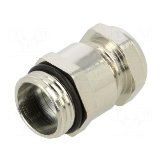Cable gland | PG9 | IP68 | brass | metallic | Resistance to: UV rays