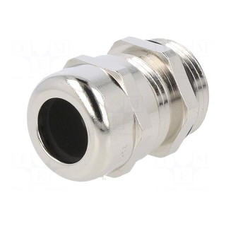 Cable gland | with earthing | PG13,5 | IP68 | brass | SKINTOP® MS-SC
