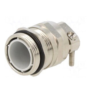 Cable gland | with earthing | PG21 | IP68 | brass | HSK-MZ-EMC