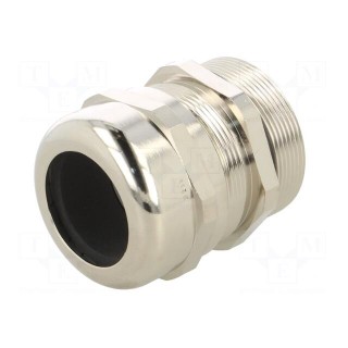 Cable gland | with earthing | PG36 | IP68 | brass | SKINTOP® MS-SC