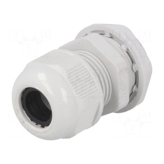 Cable gland | with long thread | M25 | 1.5 | IP65 | polyamide | grey