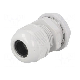 Cable gland | with long thread | M25 | 1.5 | IP65 | polyamide | grey