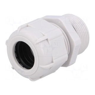 Cable gland | with long thread | PG21 | IP68 | polyamide | grey