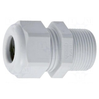 Cable gland | with long thread | PG29 | IP68 | polyamide | light grey
