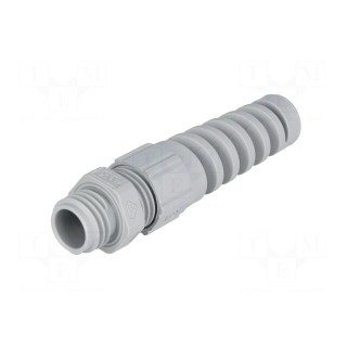 Cable gland | with strain relief | M12 | 1.5 | IP68 | polyamide | grey