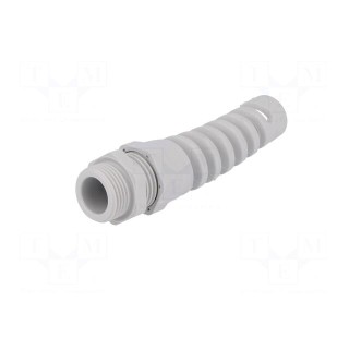 Cable gland | with strain relief | M20 | 1.5 | IP68 | polyamide | grey