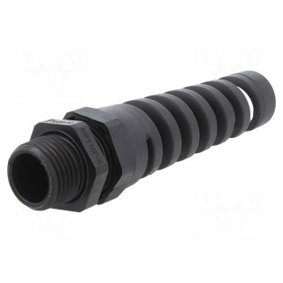 Cable gland | with strain relief | NPT1/2"/16 | IP68 | polyamide