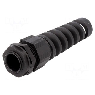 Cable gland | with strain relief | NPT3/8" | IP66,IP68 | polyamide