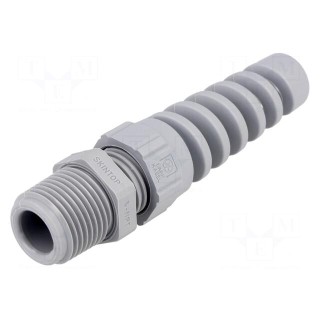 Cable gland | with strain relief | NPT3/8" | IP68 | polyamide | grey