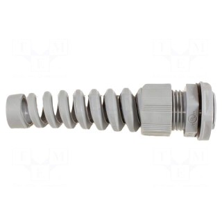 Cable gland | with strain relief | NPT1/2" | IP66,IP68 | dark grey