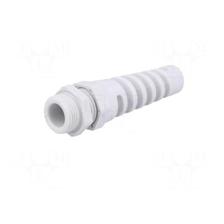 Cable gland | with strain relief | PG11 | IP68 | Mat: polyamide | grey