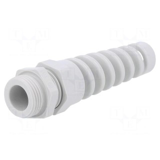Cable gland | with strain relief | PG11 | IP68 | polyamide | grey