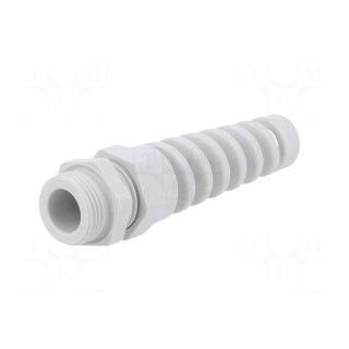 Cable gland | with strain relief | PG11 | IP68 | polyamide | grey
