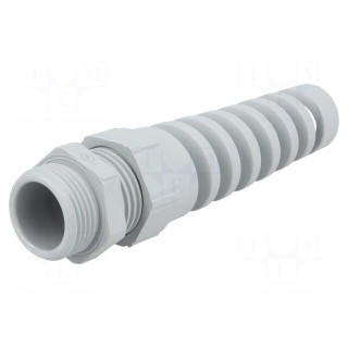 Cable gland | with strain relief | PG13,5 | IP68 | Mat: polyamide