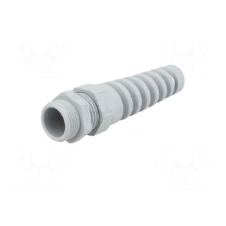 Cable gland | with strain relief | PG13,5 | IP68 | Mat: polyamide